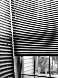 Lines