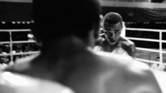 Fight Night