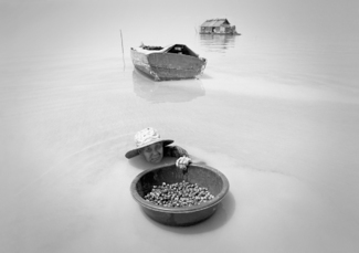 Snail Gatherer, Tone' Sap Lake, Cambodia 2004