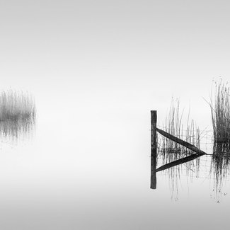 Upon the Water