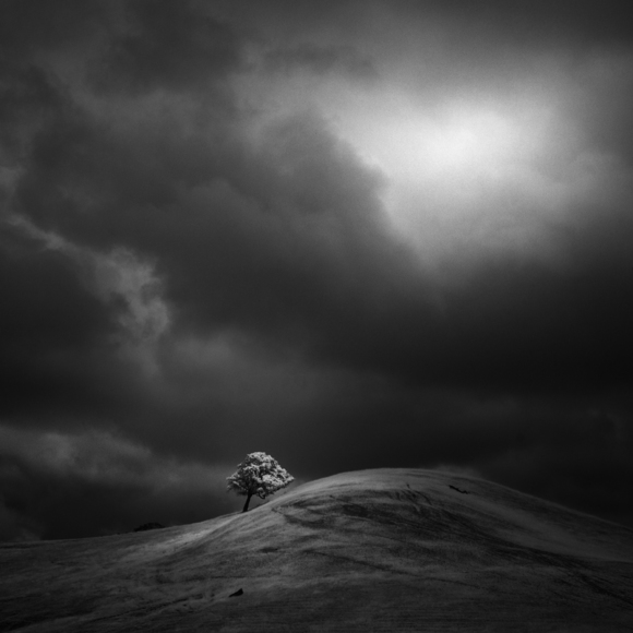 Tree and Hill