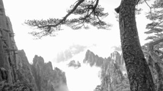 Paysage