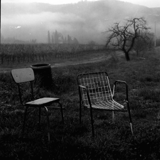 In Compagnia