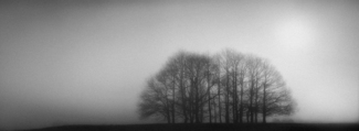 Misty Dawn