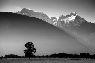 Franz Josef