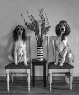 Poodle Bouquet