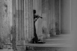 The Violinist