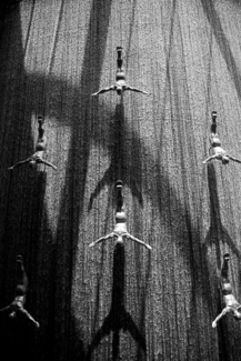 Divers