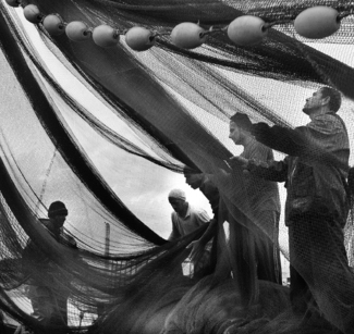 Life behind the Nets