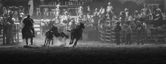 Night Rodeo