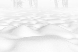 Snow Shapes #8