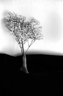 Untitled (4)