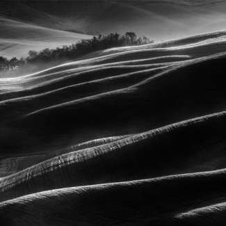 Black Hills (1)