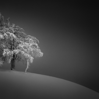 Obscure