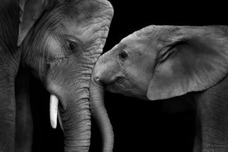 true love