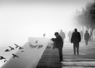 Foggy days