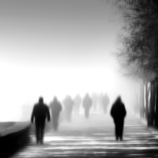 Human forms