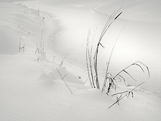 Frozen