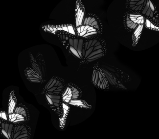 Monarch Cluster