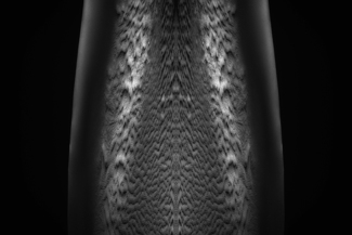 Underbelly