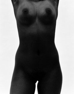 Phot 300