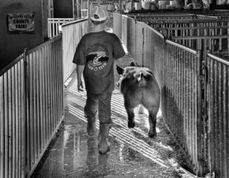 Show Team