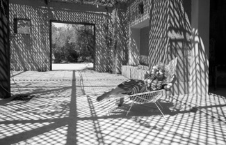 Shadows in Palmeraie