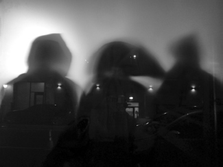 Night Birds