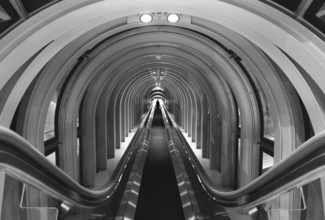 The Way Out