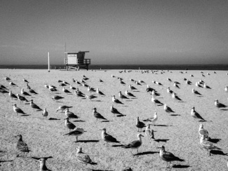 audience