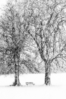 Alone Bench 