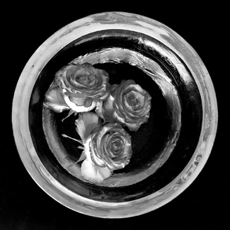 Concentric Zen Ensōs with Rose Trinity