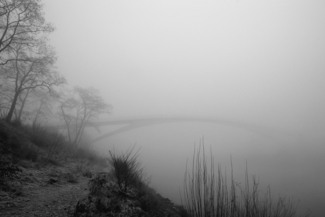 Fog