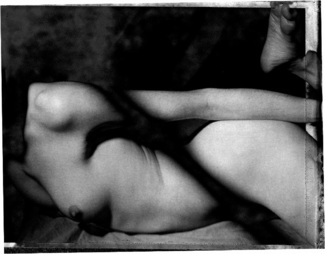 Jaime Venus