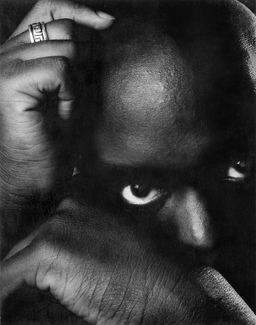 Jacob Lawrence American Painter