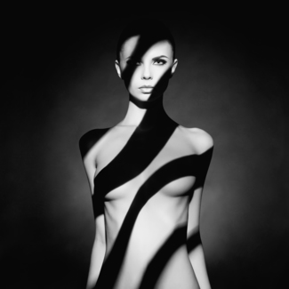 Shadows