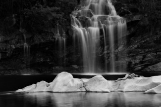 Fairy Garden B&W