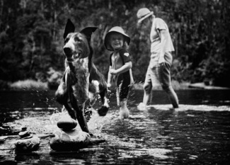 Shallow Crossing