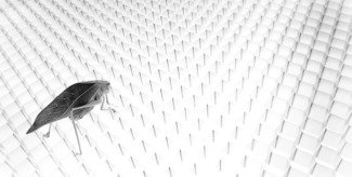 Matrix