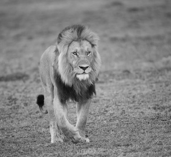 On A Mission
