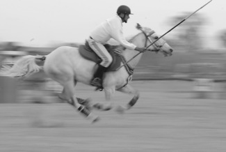 Horse Riding