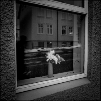 Vase of Flowers
