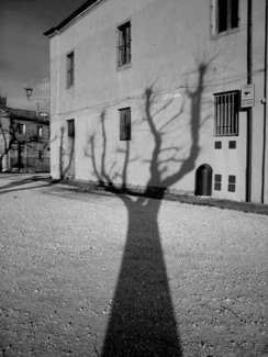 Winter shadow