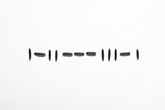 Morse Code