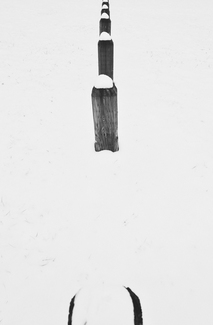 Nameless