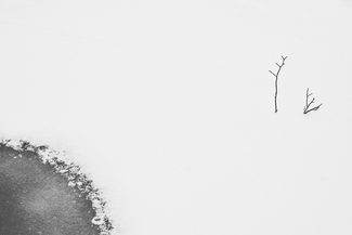 Trail