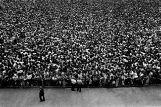 Palio, Siena