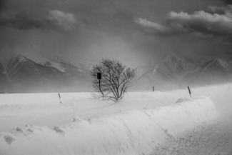 Winter Wonderland 
