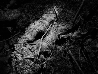 Pollachek-Ellin_A Soldier's Legs