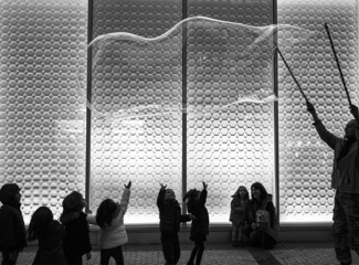 THE BUBBLE